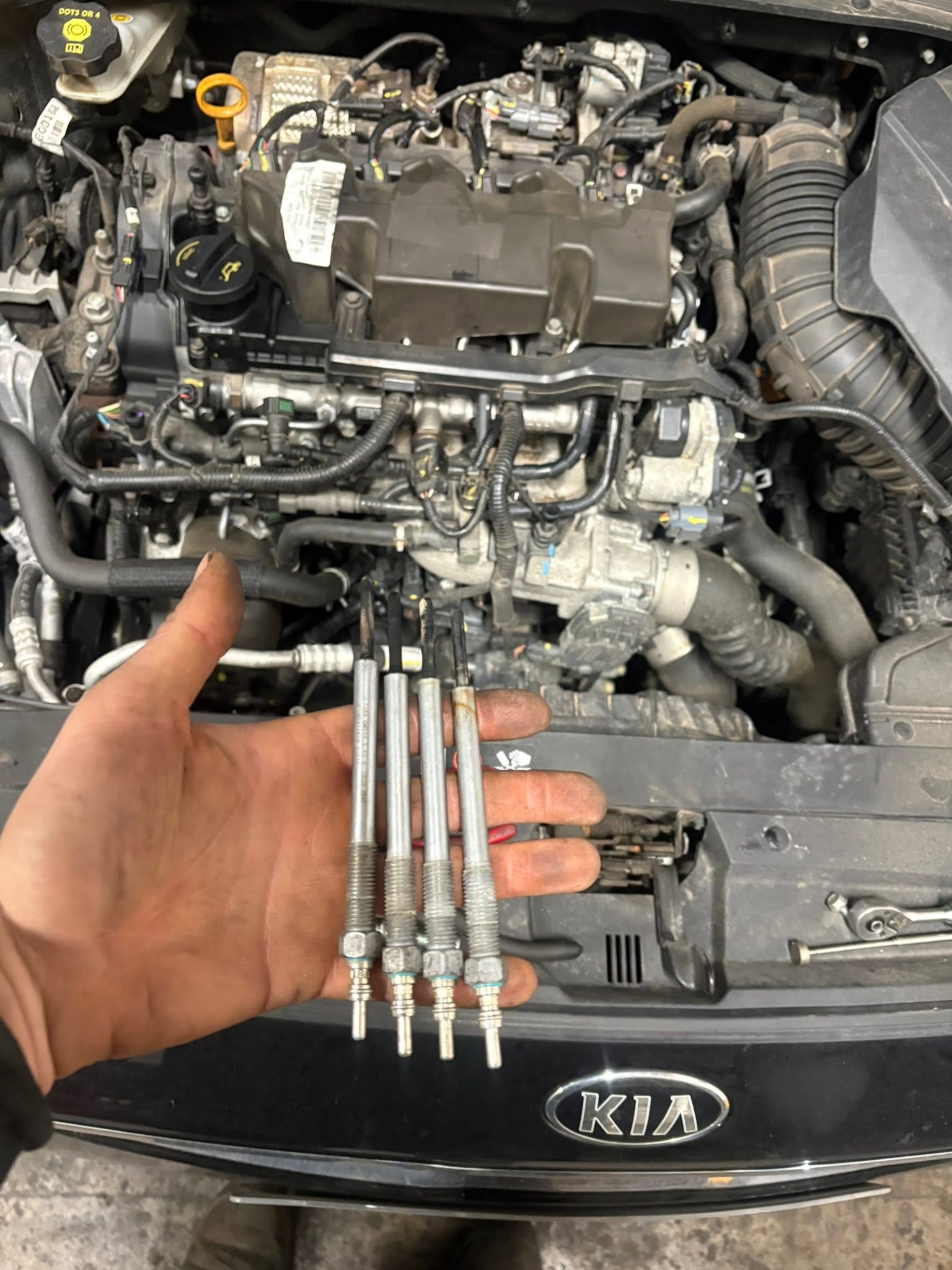 Brawdy Automotive Services workshop photo